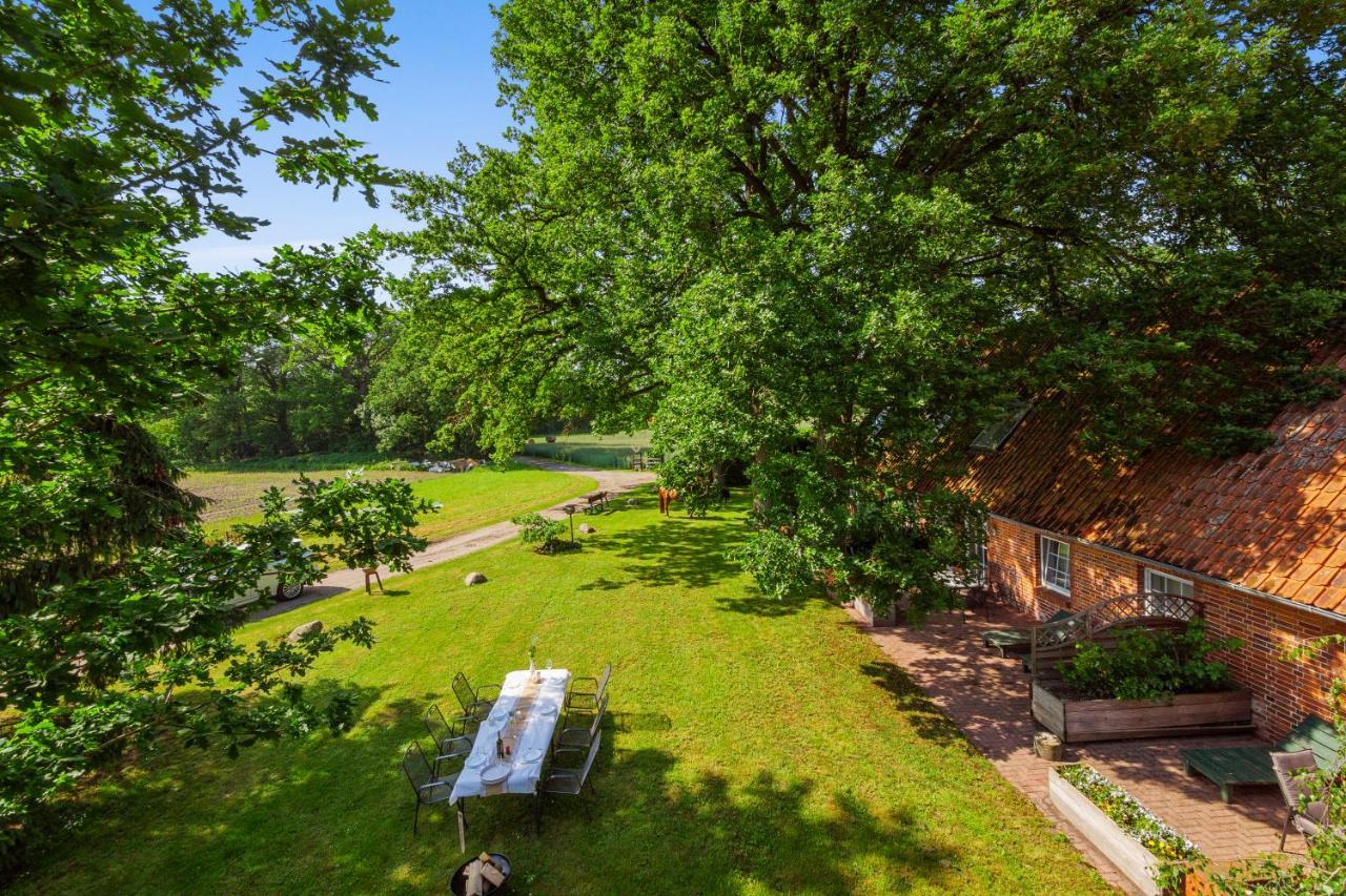 Bauernhofurlaub Bei Familie Bokeloh Villa Kirchlinteln Exterior photo